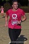 DSC0375.jpg