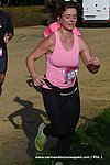 DSC0417.jpg