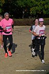 DSC0442.jpg