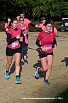 DSC0489.jpg