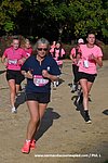 DSC0495.jpg