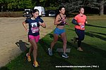 DSC0511.jpg