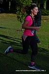 DSC0512.jpg