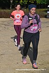DSC0527.jpg