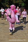 DSC0657.jpg