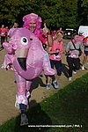 DSC0661.jpg