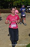 DSC0775.jpg