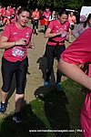DSC0806.jpg