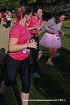 DSC0808.jpg