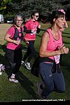 DSC1017.jpg
