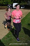 DSC1018.jpg