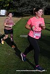 DSC1019.jpg