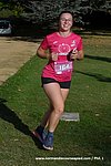 DSC1134.jpg