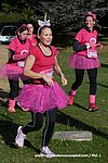 DSC1230.jpg