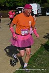 DSC1231.jpg