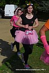 DSC1232.jpg