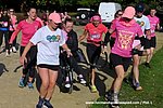 DSC1242.jpg