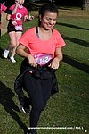 DSC1254.jpg