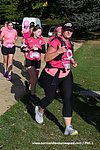 DSC1259.jpg