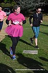 DSC1266.jpg