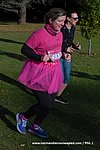 DSC1268.jpg