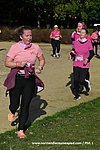 DSC1333.jpg