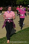 DSC1334.jpg