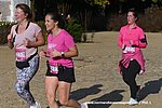 DSC1361.jpg