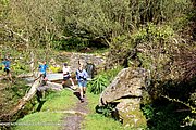 0001-IMG_3066.jpg