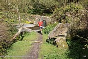 0011-IMG_3076.jpg