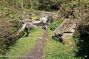 0085-IMG_3153.jpg