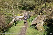 0161-IMG_3230.jpg