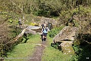 0164-IMG_3233.jpg