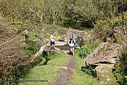 0234-IMG_3304.jpg