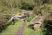 0246-IMG_3316.jpg