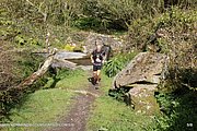 0247-IMG_3317.jpg