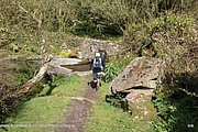 0251-IMG_3321.jpg