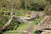 0255-IMG_3325.jpg