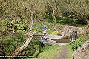 0262-IMG_3332.jpg