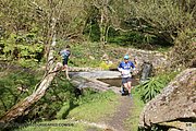 0263-IMG_3333.jpg