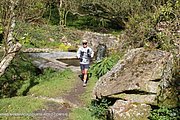 0333-IMG_3404.jpg