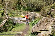 0347-IMG_3418.jpg