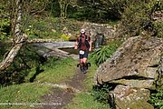 0384-IMG_3455.jpg
