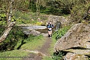 0460-IMG_3533.jpg