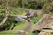 0463-IMG_3536.jpg