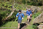0499-IMG_3572.jpg
