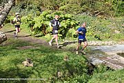 0889-IMG_3977.jpg