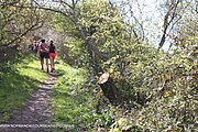0940-IMG_4029.jpg