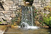 1094-IMG_4187.jpg