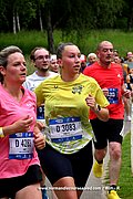 DSC_8010.jpg